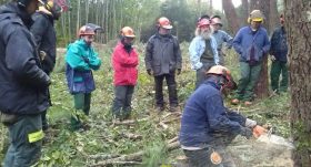 foret-formation