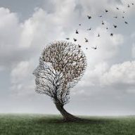 alzheimer2