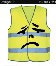 RÃ©sultat de recherche d'images pour "algeriens gilet jaunes"