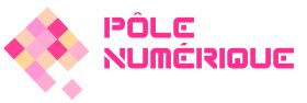 logo Pole Numerique