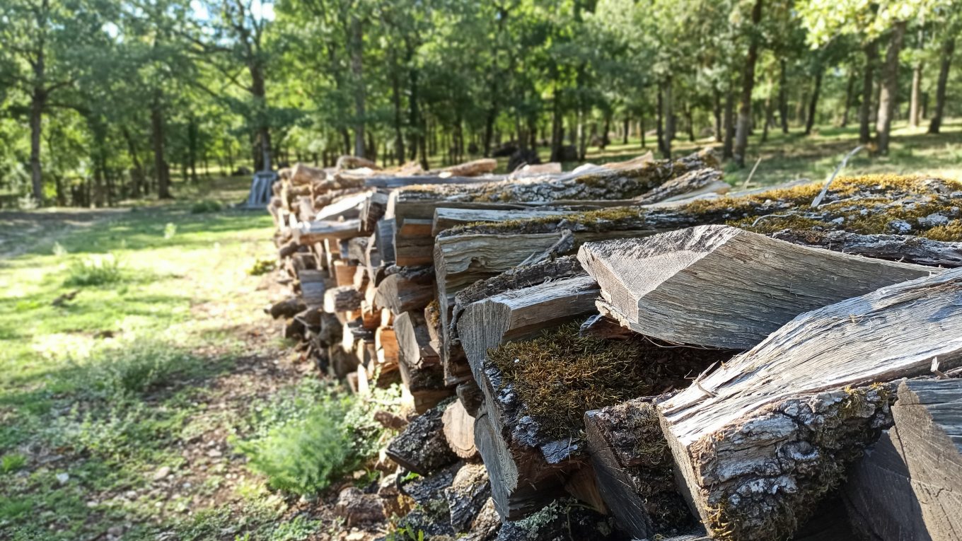 La gestion forestière durable