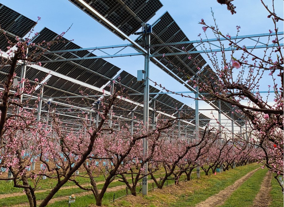 photo France Agrivoltaisme