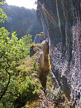 Visites guidées de l'aqueduc romain Divona