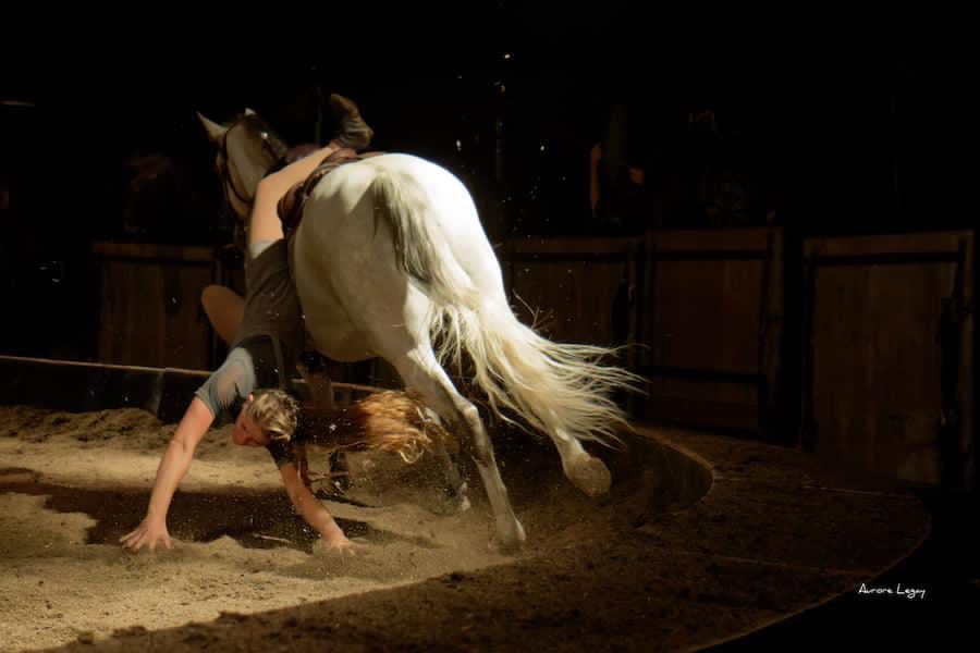 Dégagnac, Spectacle Equestre Epona