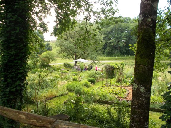 Activités de Juillet au Jardin Bourian.